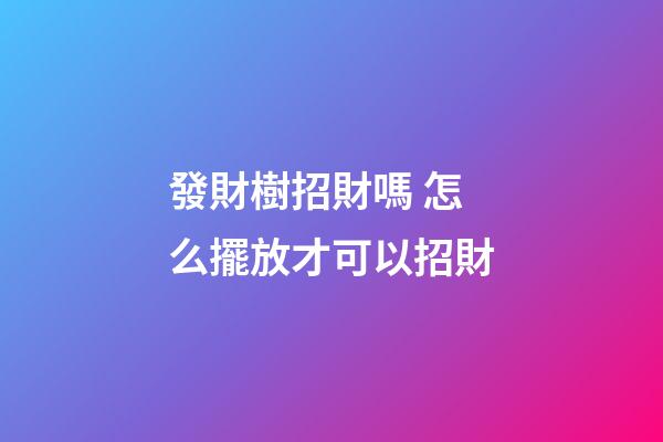 發財樹招財嗎 怎么擺放才可以招財